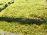 image of grave number 633748